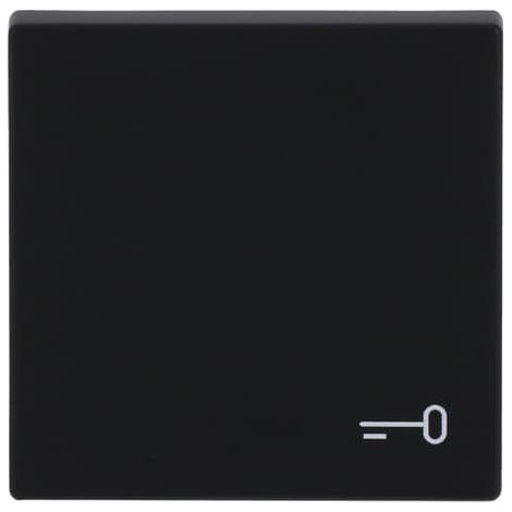 Busch-Jaeger Bascule avec impression symbole "Clé" pour interrupteur/bouton-poussoir, 1 canal noir mat - plateforme 63 (2520 TR-885), 2CKA001751A3202