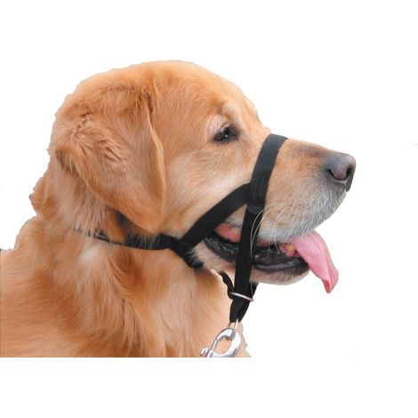 Nobby® Hunde Erziehungs- und Ausbildungshalfter XL Easy Leader Schwarz Größe 4