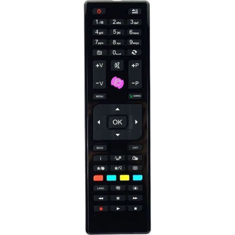 Telecomando sostitutivo RC4875 per TV HD TECHWOOD/Finlux Shar - Pezzo di ricambio RC-4875 (1/5)