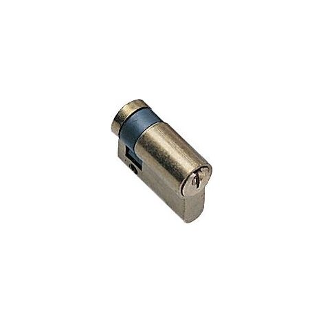 Demi-cylindre TE5 30 x 10 indexable, laiton poli, s'entrouvrant - Tesa securité
