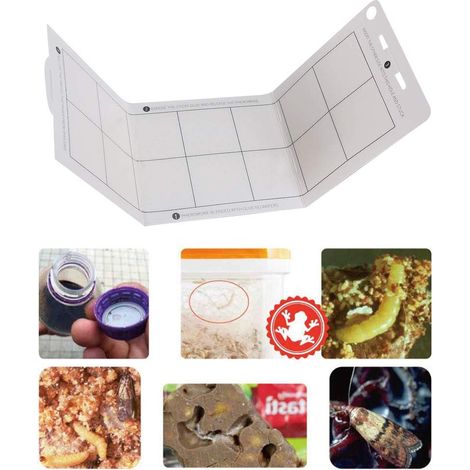 6 Pièces Piège à Mites, Piège à Colle Papillon Alimentaire, Pièges à Phéromones Anti-Mites Alimentaires.