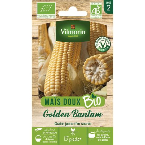 Maïs Golden Bantam - BIO Vilmorin