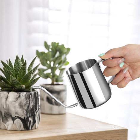 Arrosoir à col de cygne long en acier inoxydable antirouille pour petites plantes d'intérieur, couleur argent (1/5)