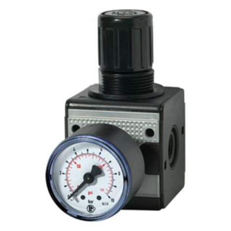 Riegler Druckregler »multifix «, inkl. Manometer, BG 1, G 1/4, 0,5 -10 bar