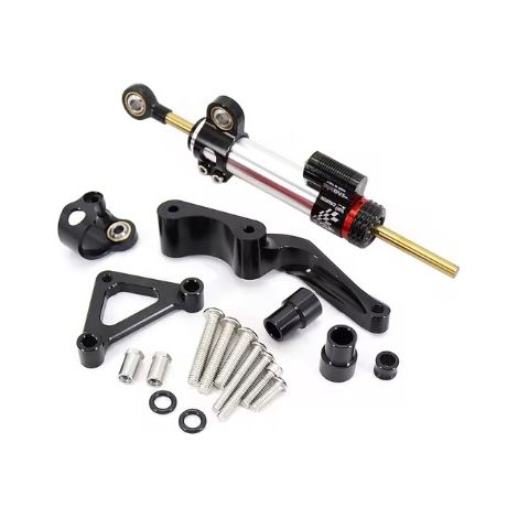 Ducati Monster 1100S 2018 - Kit de conversion pour moto : amortisseur de direction en titane pour une meilleure stabilité. (1/4)