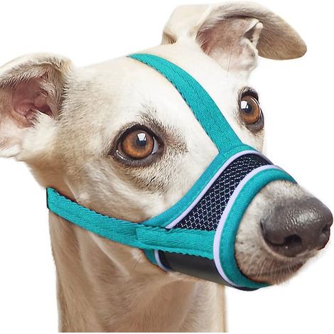 Questa museruola regolabile, realizzata in nylon riflettente, è morbida e confortevole e dotata di un sistema di regolazione. È adatta a cani di piccola taglia. (1/5)