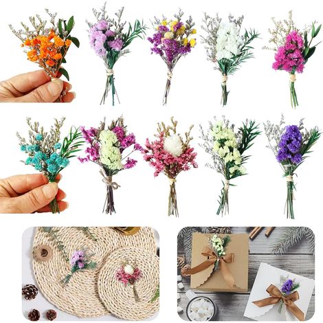 10 Pièce Fleurs Séchées, Mini Fleur Sechees Decoration, Petit Bouquet Fleurs Séchées, Gypsophile Séché Naturelles pour Le Bricolage Les Bougies la Résine, Fabrication Artisanale Scrapbooking (1/5)