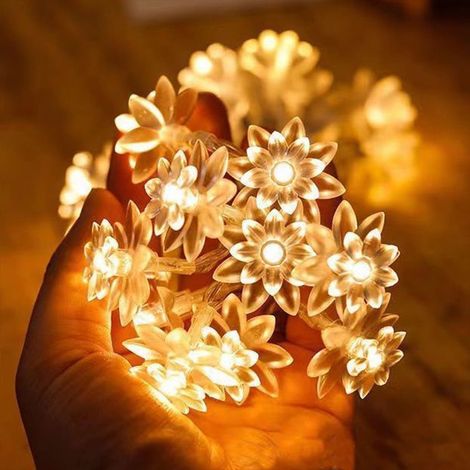 Guirlande Solaire Extérieure - 50 LED Forme De Fleur - Pour Jardin Clôture Terrasse Arbre De Noël Pelouse - 700 cm (1/5)