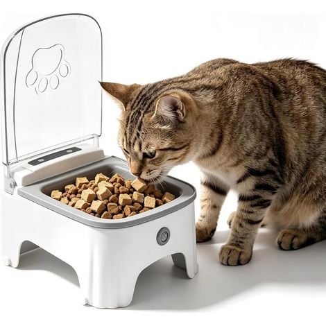 Automatic Food Timer Dispenser, Programmable Cat (1/5)