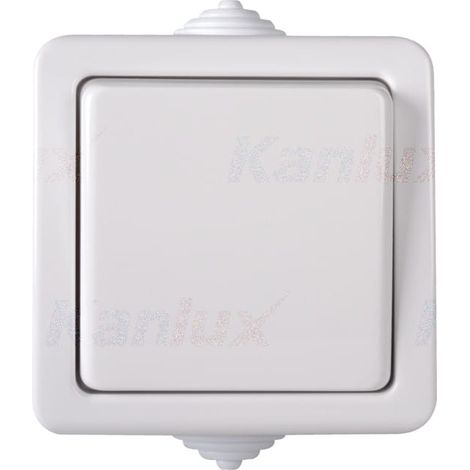Interrupteur simple - mural - IP54 - 10AX - blanc - 72x72mm (1/2)