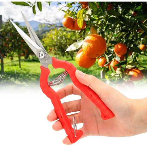 Gartenschere mit Klingen aus Edelstahl für Obstbaum- und Gemüsezweige (1/5)