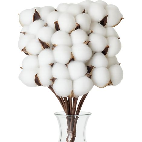 10 pcs Fleurs de Coton séchées Naturelles, Fleurs de Coton sechees décoration Grande Tige artificielles pour Balcon Maison Table Composition Florale (1/5)