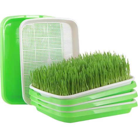 Bandeja Drenaje Y Germinación Hidroponía Para Plantas A (1/5)