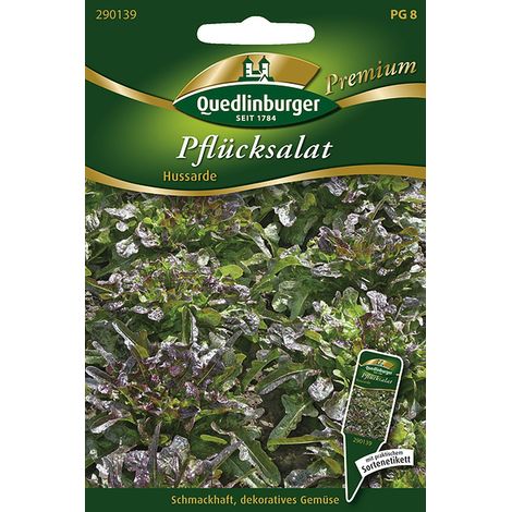 Quedlinburger Pflücksalat Hussarde - Premium Gemüsesamen