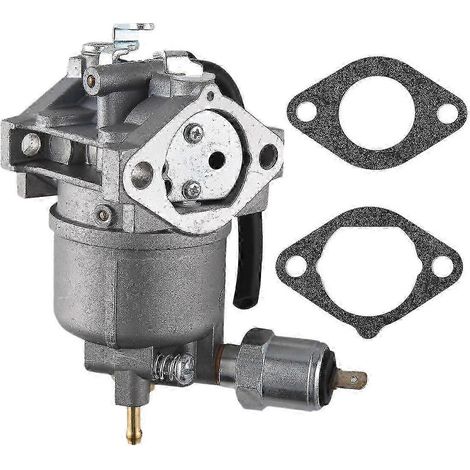 Module de bobine d'allumage haute tension compatible avec Briggs & Stratton 394891 3923 29 590781 (1/4)