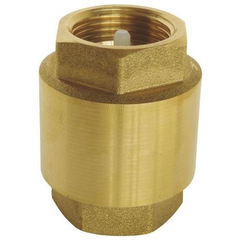 Clapet Anti Retour 1 Type York - Rain Irrigation