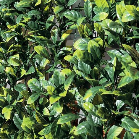 SIEPE SINTETICA SU RETE DI PLASTICA DIVY 3D PLUS LAURUS 1X3 M
