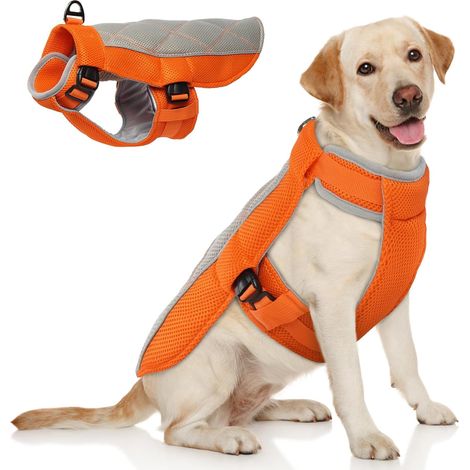 Gilet rafraîchissant pour chien - Veste respirante et ajustable au niveau du cou et du ventre, avec maille pour une ventilation prolongée, réfléchissante, orange, taille L (1/5)