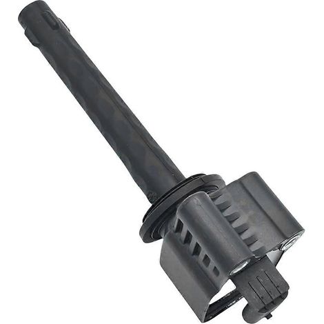Bobine d'allumage F01R00A101 compatible avec MG ZS 1.3T, Roewe RX3 et Hyatt GL6 accessoires et pièces consommables système d'allumage. (1/5)