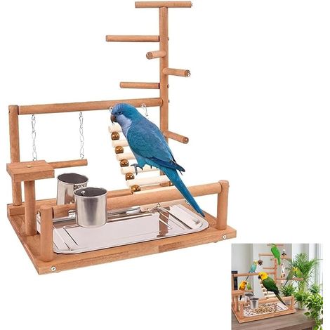 Aire de Jeu en Bois pour perruches et perroquets avec mangeoire, échelle, balançoire et Plateau - Jouet à mâcher et Gym pour Oiseaux de Petite à Moyenne Taille (1/5)