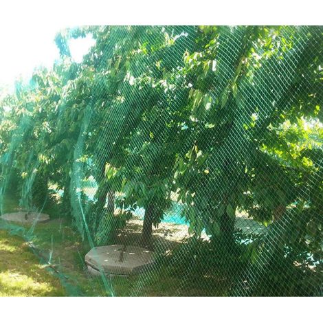 Hochwertiges Vogelschutznetz für Garten und Ernte, netzartig, vogel-, reh-, katzen-, hunde- und huhnabweisend, 4 m x 5 m (1/4)
