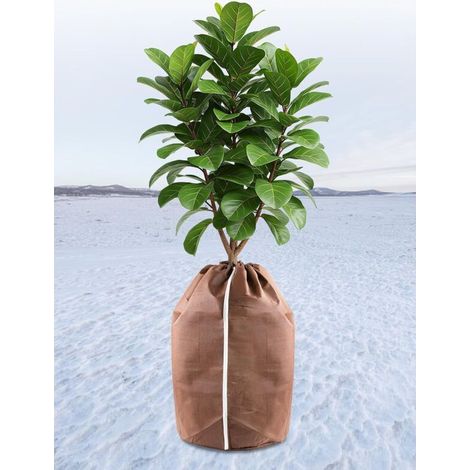 Thermal protection for outdoor plants, 45 x 50 cm, winter protection for potted plants, pot protector with drawstring, frost protection for plants (1/5)