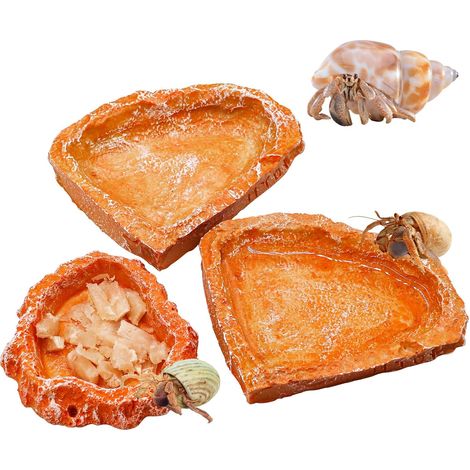 Lot de 3 gamelles pour reptiles, bols en résine pour nourriture et eau pour bernard-l'hermite, kit d'alimentation pour reptiles, accessoire pour terrarium ou aquarium, convient aux tortues (1/5)