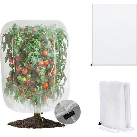(100 x 150 cm) 1 filet de jardin avec cordon de serrage, utilisé pour protéger les plantes de jardin des oiseaux, coléoptères, cigales et insecte