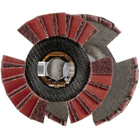 Disque à lamellese VSK VISION125mm Rhodius(Par 10) (1/4)