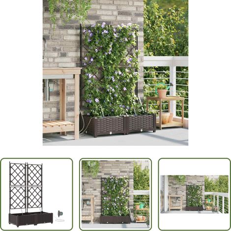 Pot de jardin - Cache-pot de jardin 2 pcs Marron Acier (1/5)