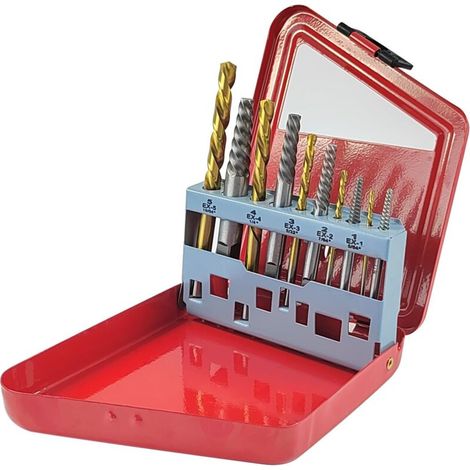 Set mit 10 Schraubenausdrehern – kombiniert für Übungen unterschiedlicher Größe