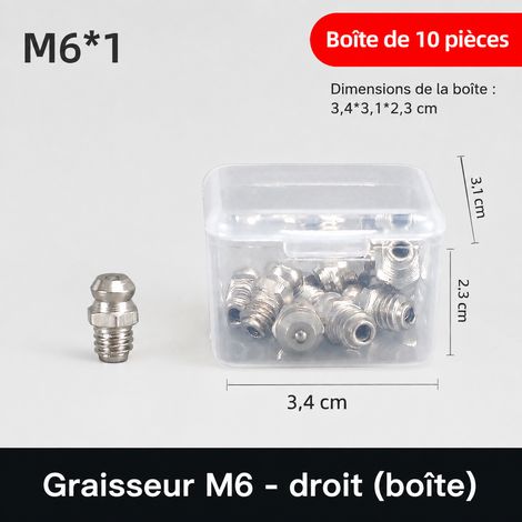 Lot de 10 graisseurs droits M6 en fer nickelé en boîte m6 10 9 300 g – Livraison gratuite