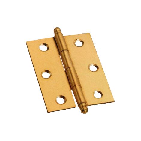 24PZ CERNIERA CON PERNO SFILABILE in ottone mm. 40x35