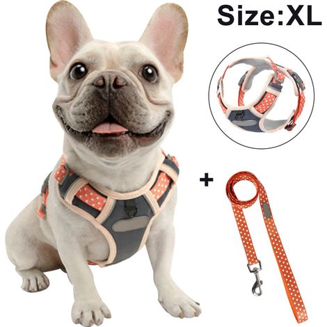 Harnais de poitrine pour chien avec corde de traction, gilet respirant pour animaux de compagnie pour la promenade, le dressage et le contrôle en extérieur pour les races moyennes et grandes.
