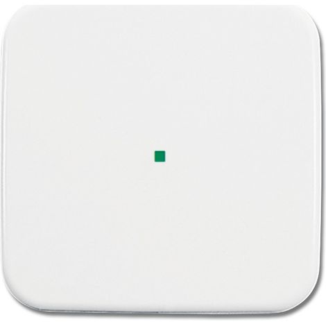 Plaque de finition Busch-jaeger 6230-10-214 blanc 11x11 cm