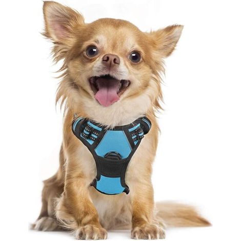 Small Dog Harness, Light Blue, Anti-Pull, Reflective, Adjustable Vest for Dogs, Front Attachment, Leash Hook for Hiking, Car Travel, French Bulldog, Australian Shepherd - Sunny (1/5)