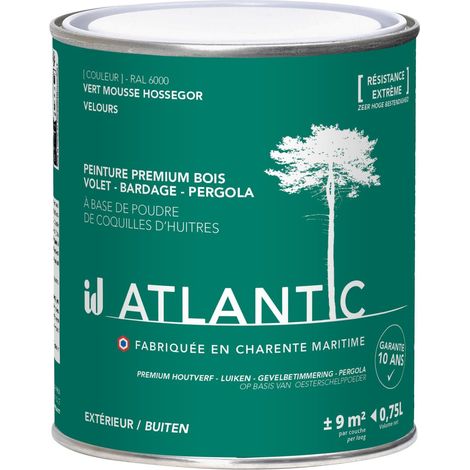 Peinture bois extérieurs -RAL 6000 Vert mousse Hossegor - 750ML - ATLANTIC (1/3)