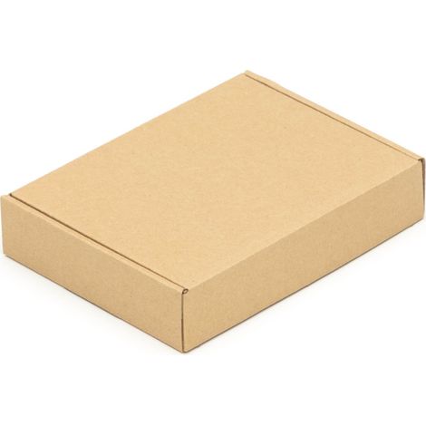 1200 Maxibriefkartons 200 x 152 x 40 mm Post Versandkartons Wellpappe Kartons braun (1/4)
