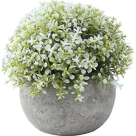 1 pot de culture simulé (1/3)