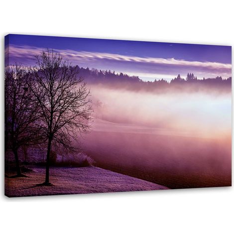 Tableau sur toile Brouillard sur le lac Violet 60x40 (1/5)
