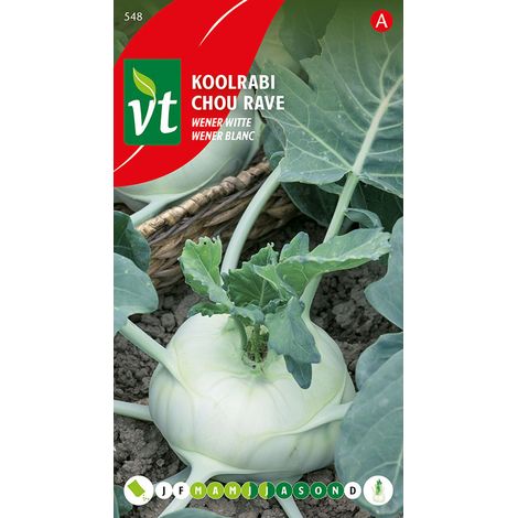 Chou Rave Wener Blanc - Ca. 2 gr (Livraison Gratuite) (1/2)