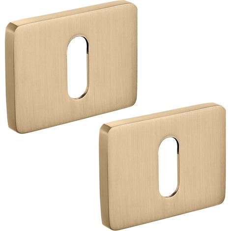 Letrero de llave dorada rectangular (1/3)