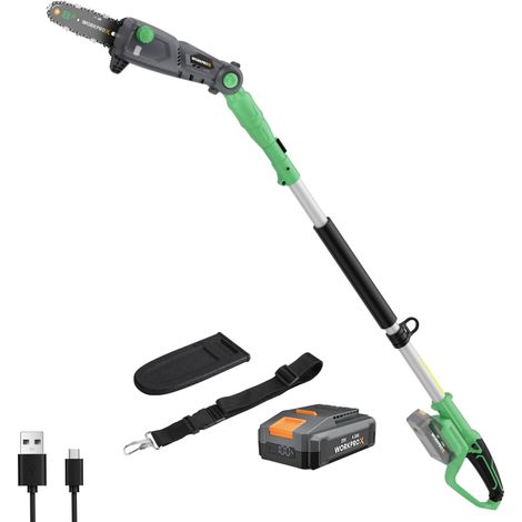 Élagueuse Télescopique sur Perche 20V pour Tailler Branches Hautes (1/5)