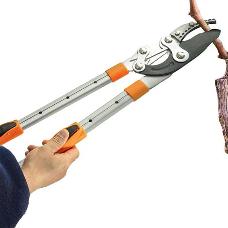 Tesoura De Poda - Cortador De Galhos Resistente - Cabo Longo E Antiderrapante Para Cercas Vivas E Trepadeiras (1/5)
