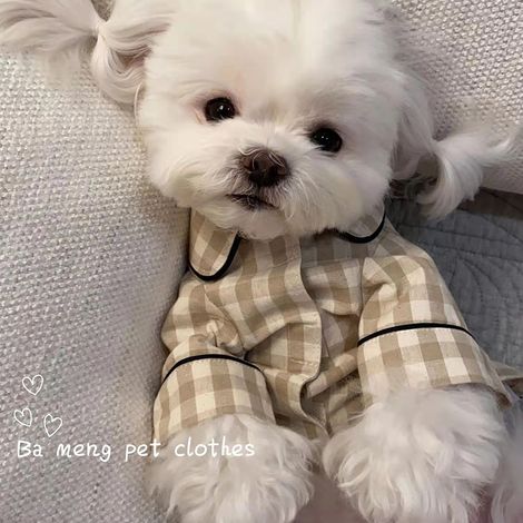 Pyjama Pour Chien En Coton À Carreaux - Fermeture Velcro Et Poche Arrière - Vêtement De Nuit Pour Petit Chien Et Chat - Taille L (1/5)
