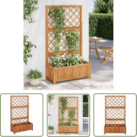 The Living Store Lit surélevé avec treillis 85x38x150 cm Bois massif d'acacia - Jardinière En Bois - Jardinière Surélevée - Treillage - Pot De Fleurs Extérieur - Plante Grimpante (1/5)