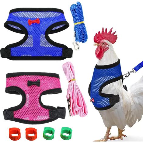 2 Pièces Harnais de Poulet avec Laisse, Harnais de Poulet Poule avec Maille Filet Souple, Harnaiss Poule avec Gilet Respirant, pour Canard Oie Poulets Entraînement Marche (1/5)