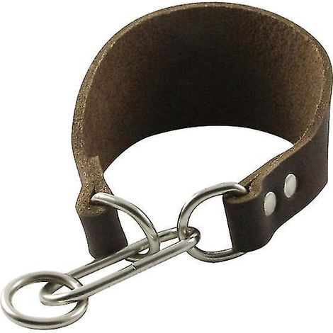 1 collier pour chien en cuir de vachette (1/3)