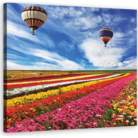 Tableau sur toile Ballons de fleurs des champs 40x40 (1/5)