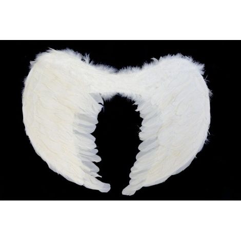 Alas de ángel 60x45cm SK7976